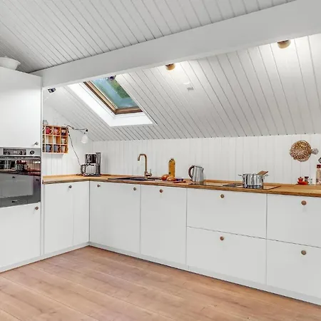 Holiday home Pet Friendly In Romo With Kitchen Kongsmark